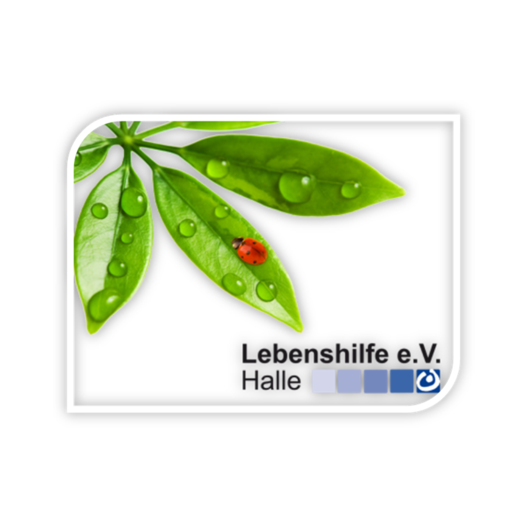 Zu sehen ist das Logo des Vereins "Lebenshilfe Sportverein Halle": Ein Marienkäfer auf einem Eschenblatt, dazu der Vereinsname.