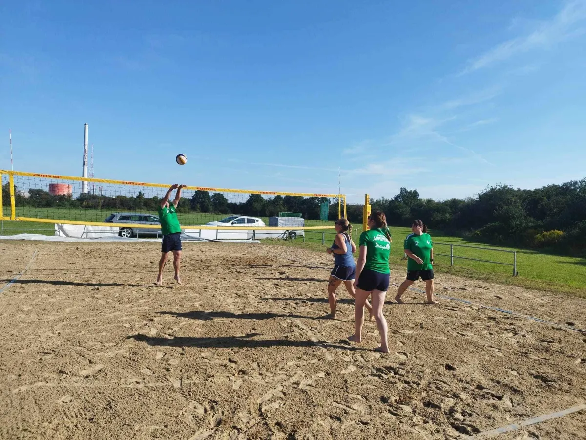 Vier Volleyballer des Vereins auf dem Spielfeld in Action.