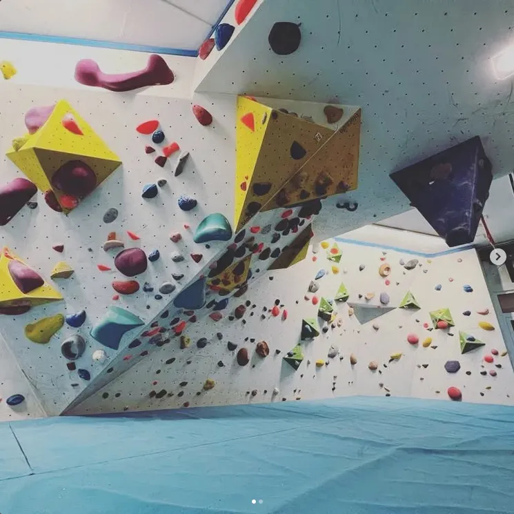 Boulderhalle der IG Klettern: Bunte Klettergriffe an einer Wand, davor eine blaue Matte.