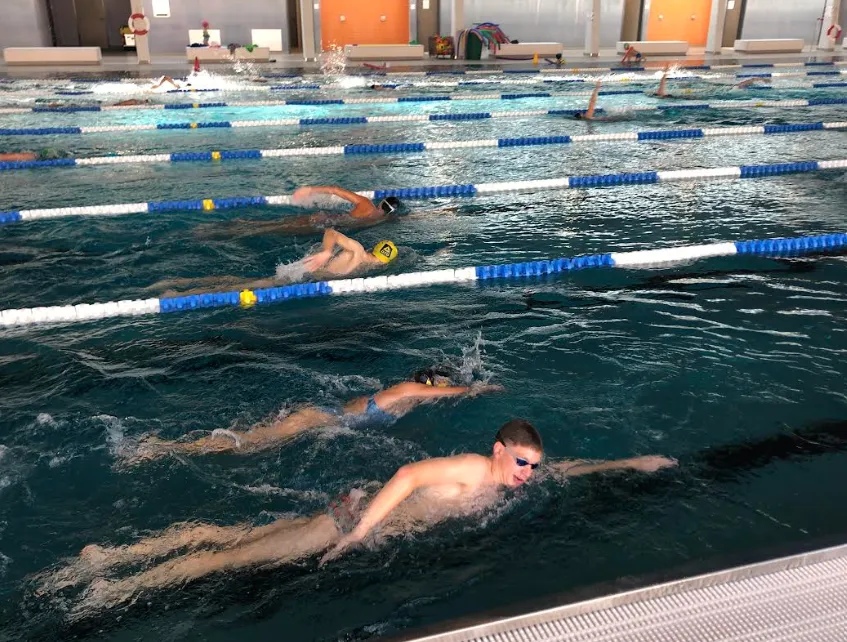 Man sieht Schwimmer in den Bahnen einer Schwimmhalle schwimmen.