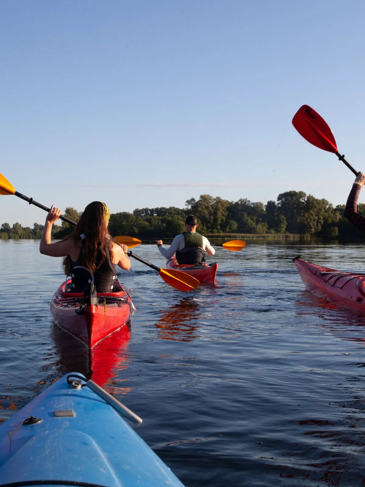 Paddler Zu sehen sind mehrere Paddler auf einem Gewässer aus einem Kanu heraus fotografiert.