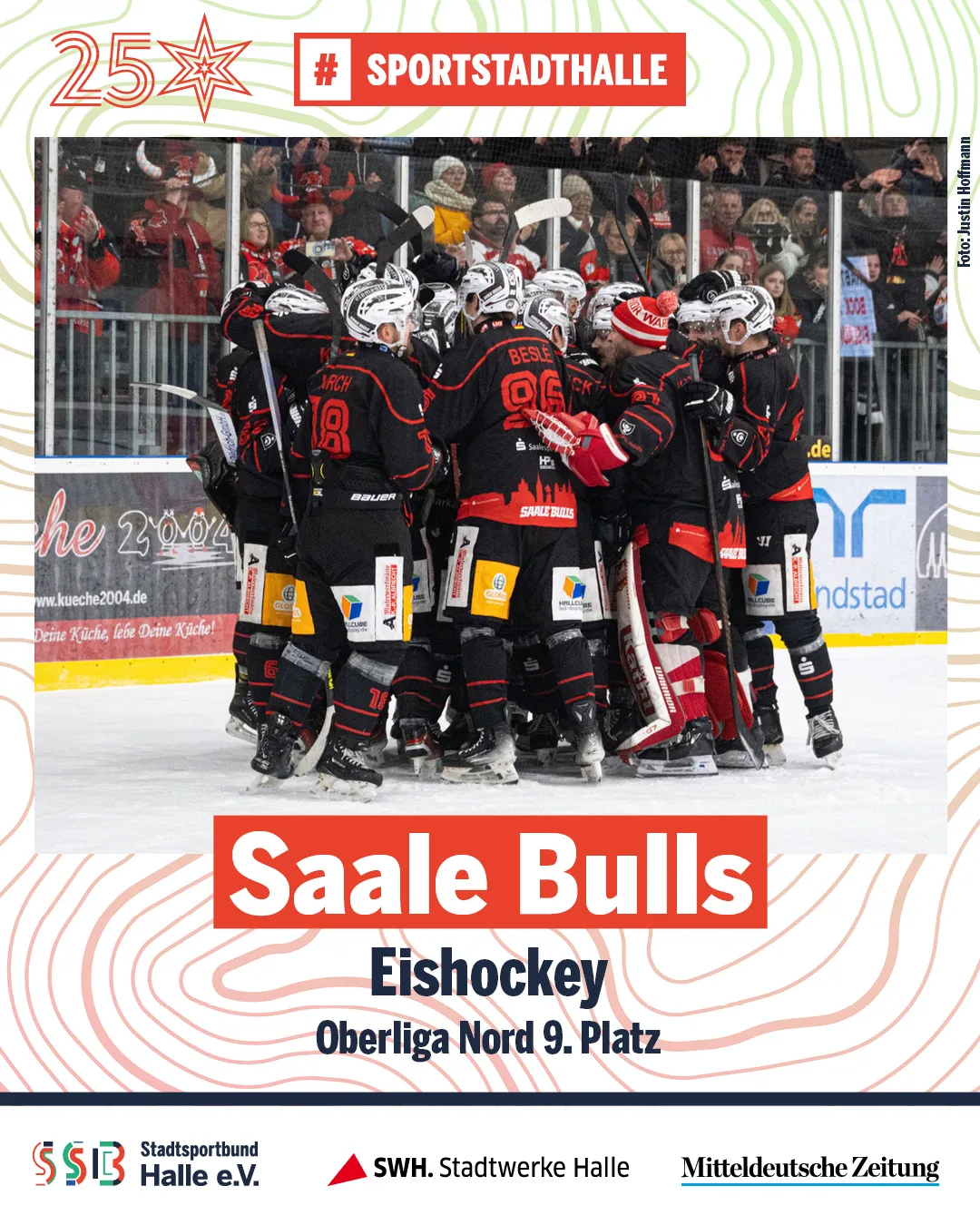 Saale Bulls