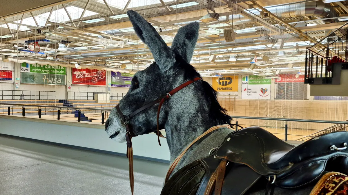 Eine Eselfigur steht in der swh.arena und schaut aufs Spielfeld.