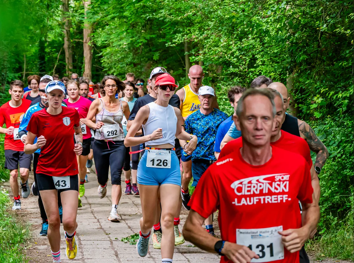 Mehrere L&auml;ufer in Sportkleidung in einem Wald.