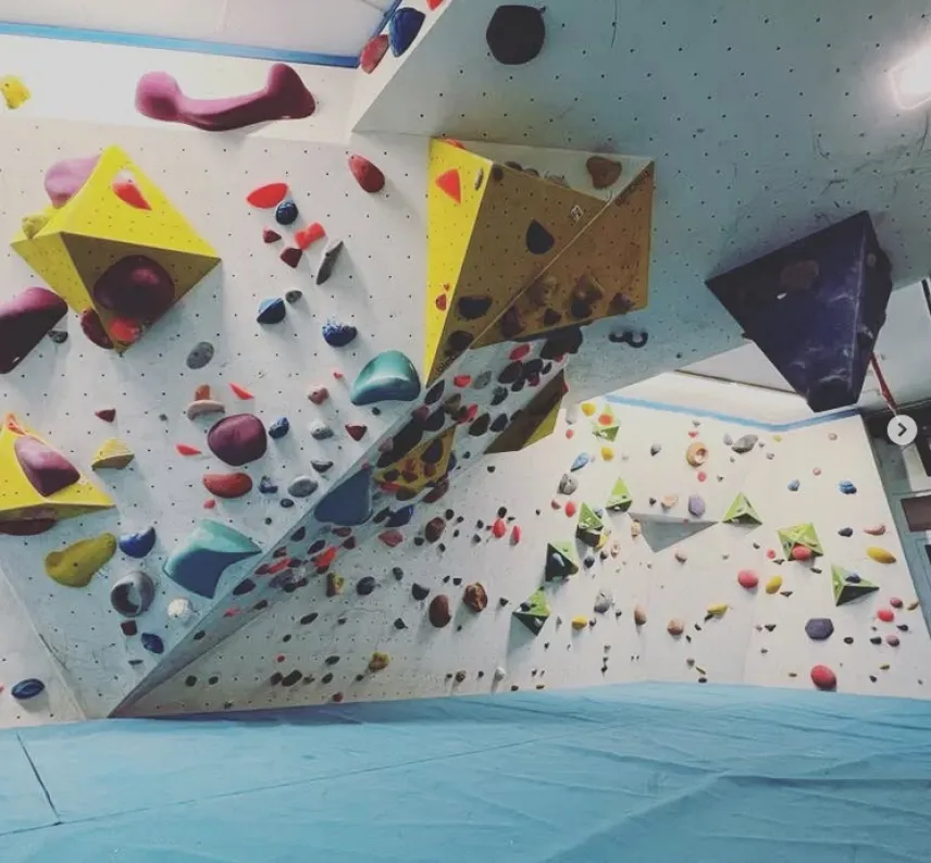 Boulderhalle der IG Klettern: Bunte Klettergriffe an einer Wand, davor eine blaue Matte.