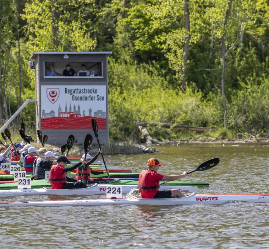Mehrere Einer-Kanus im Wettkampf auf gleicher Höhe