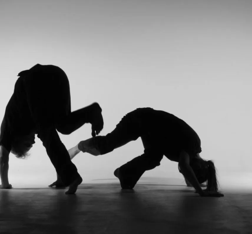 die Silhouette eines Capoeiraspiels