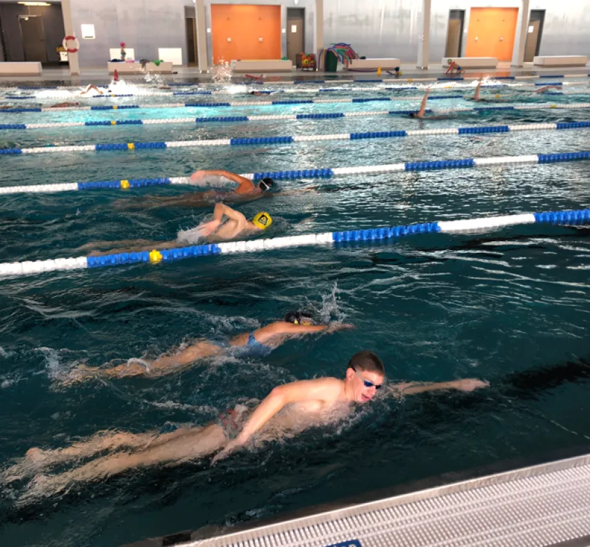 Man sieht Schwimmer in den Bahnen einer Schwimmhalle schwimmen.