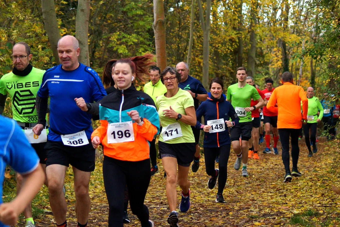 Mehrere Läufer beim Heidelauf in Sportsachen mit Startnummern laufen durch den Wald.