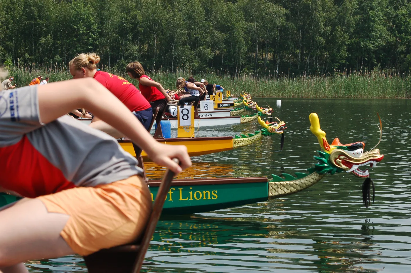 Die Drachenk&ouml;pfe mehrerer Drachenboote sind auf dem Wasser am Start aufgereiht zu sehen.