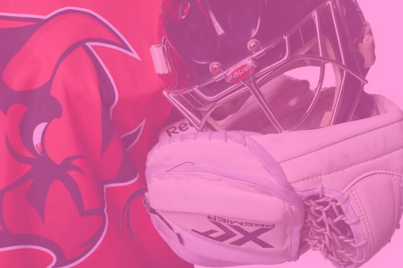 Bildausschnitt mit Eishockey-Trikot und Helm